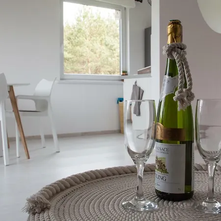Mazury Apartament Zakatek Salpia B Apartment Prazmowo